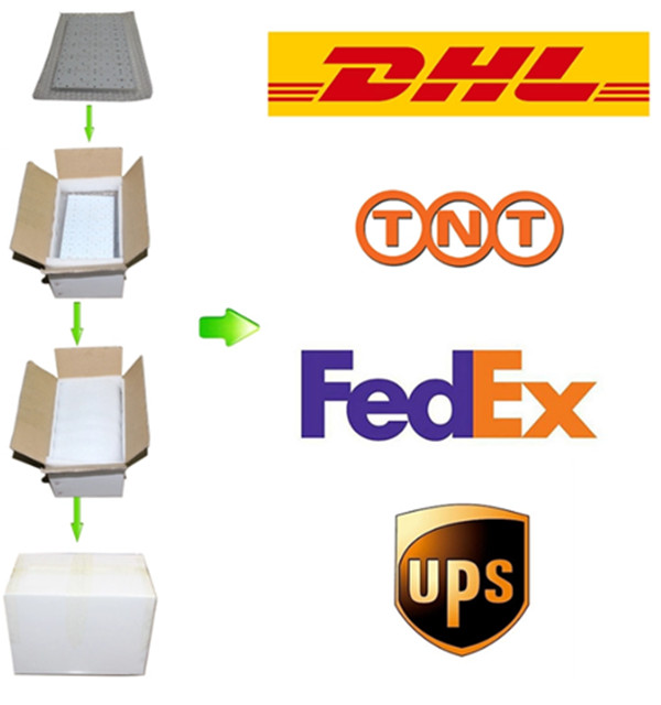 图片 140_ 副本 .jpg